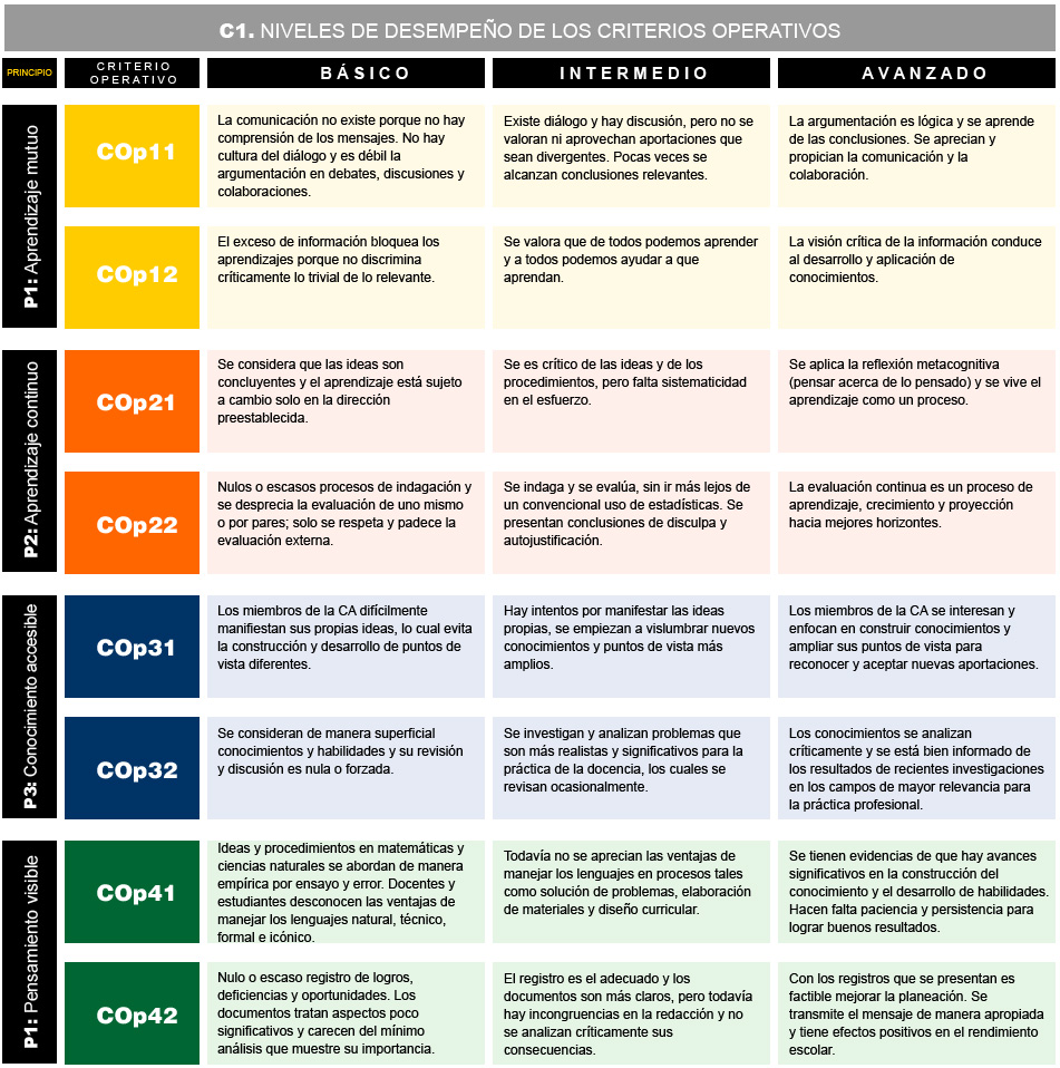 <b>Figura 2</b>. Cuadro C1. Niveles de desempeño de los criterios operativos Image