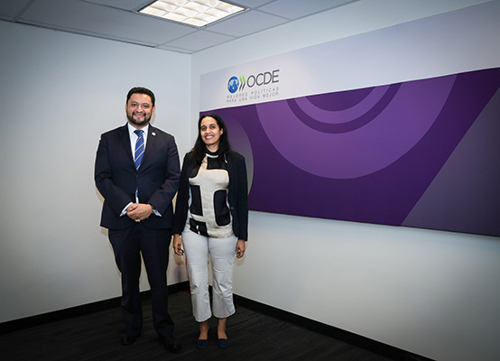 OCDE y el ILCE